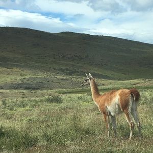 Meet your Posher, Jojo